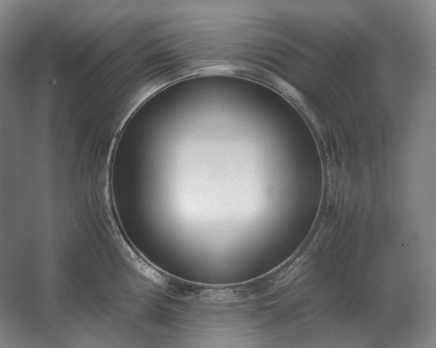 X0000062671194200512281731