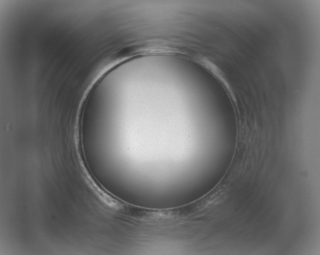 X0000062671195200512281731