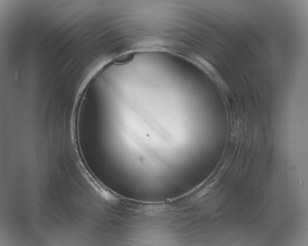 X0000062671196200512281731