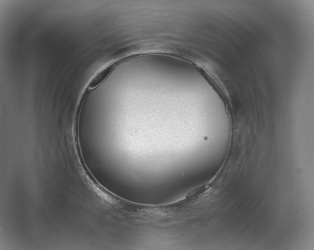 X0000062671197200512281731