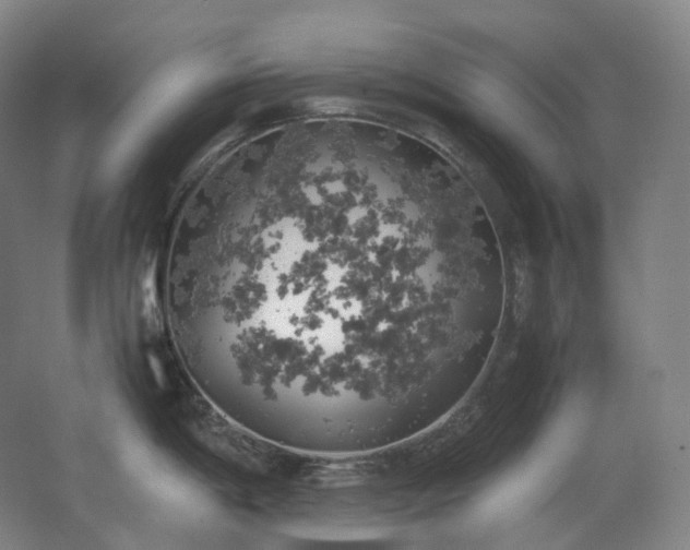 X0000062671198200512281731