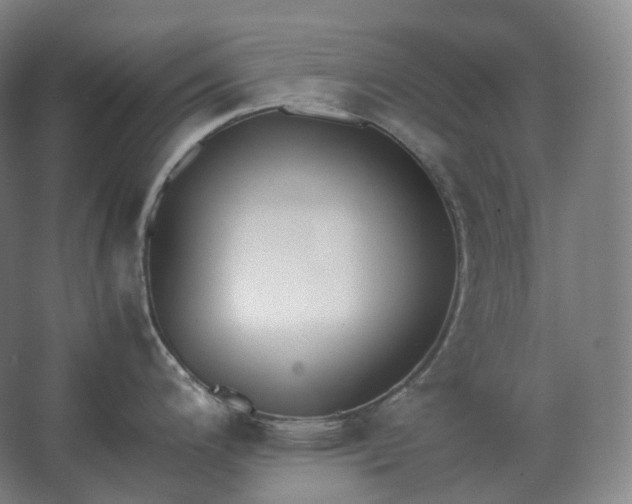 X0000062671200200512281731