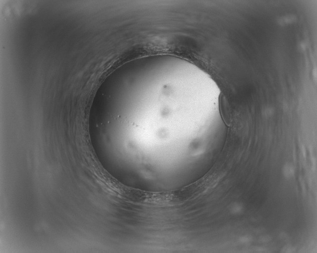 X0000062671201200512281730