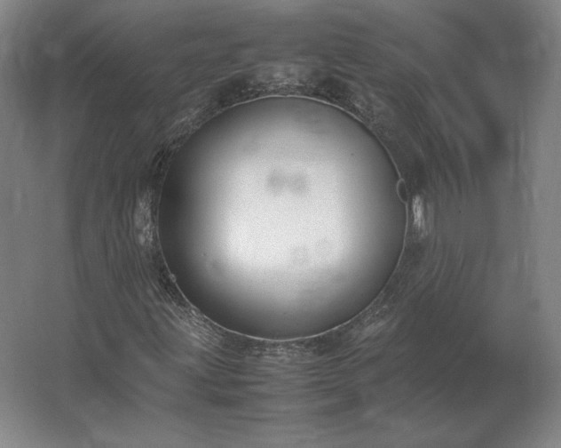 X0000062671203200512281730