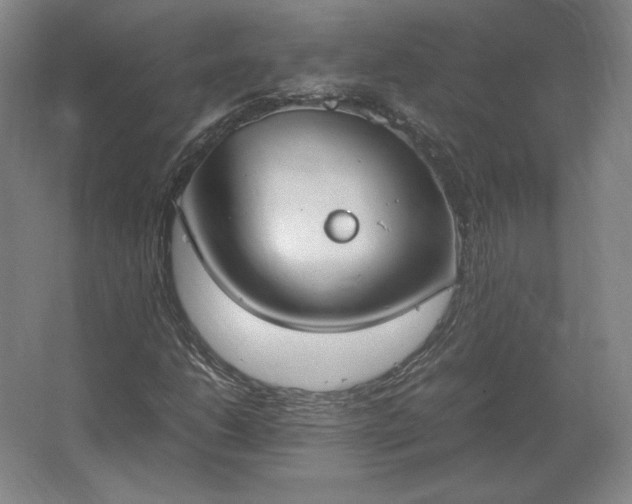 X0000062671206200512281730