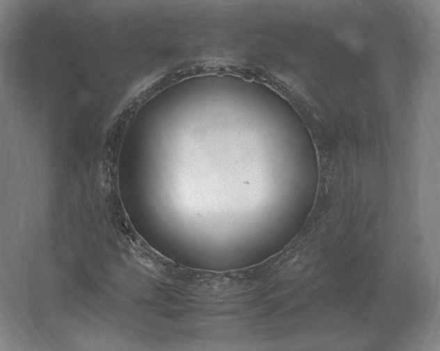 X0000062671207200512281730