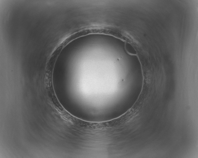 X0000062671208200512281730