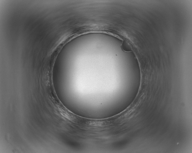 X0000062671211200512281730