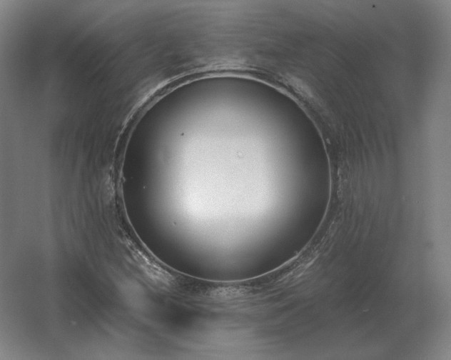 X0000062671212200512281730