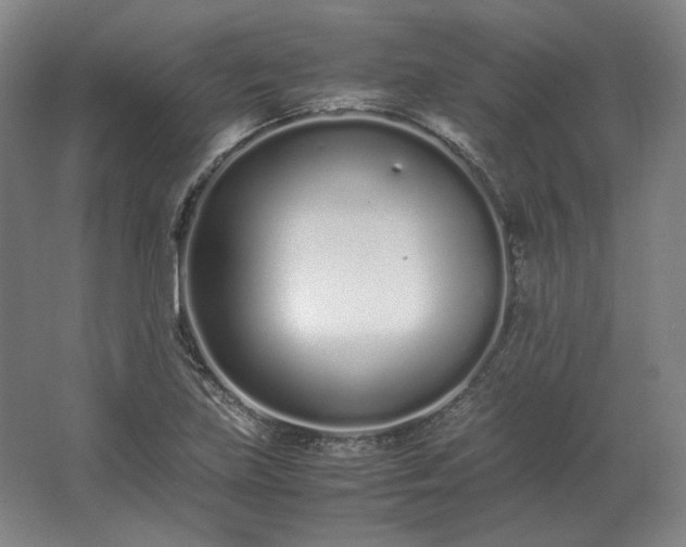 X0000062671219200512281730