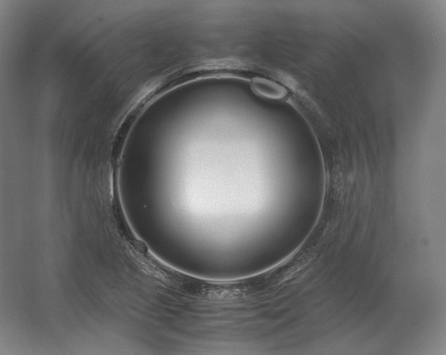 X0000062671221200512281730