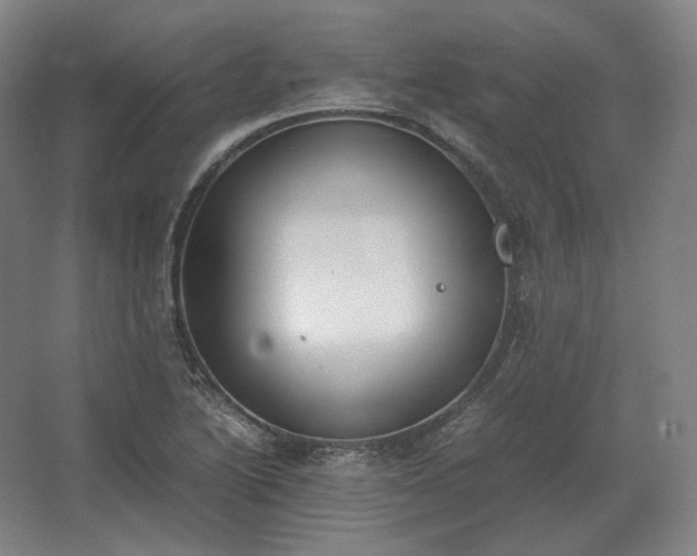 X0000062671222200512281730