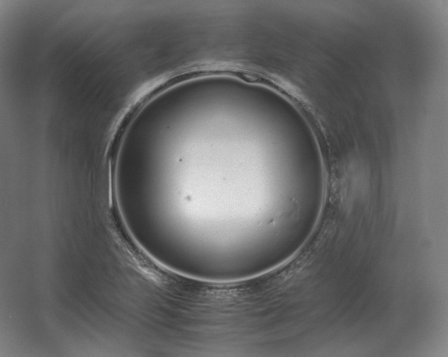 X0000062671223200512281730