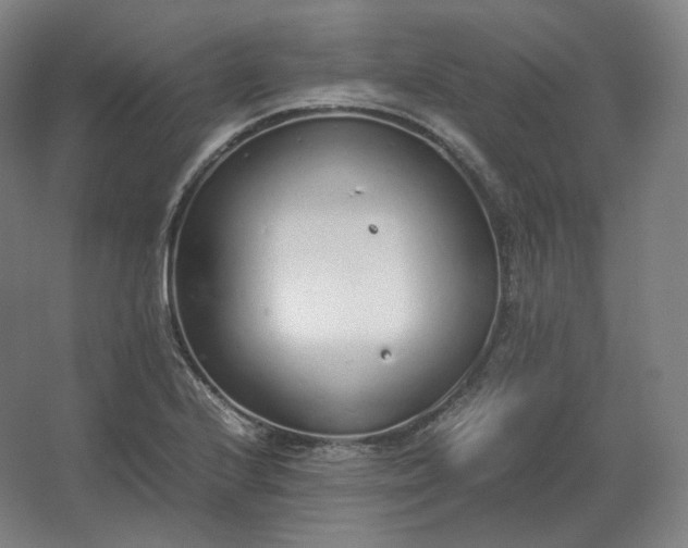 X0000062671224200512281730