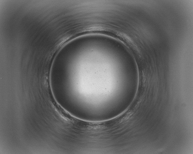 X0000062671225200512281730