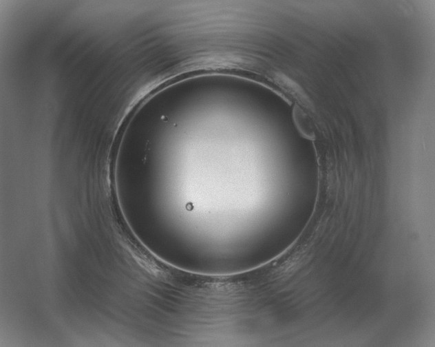 X0000062671226200512281730