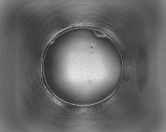 X0000062671228200512281730