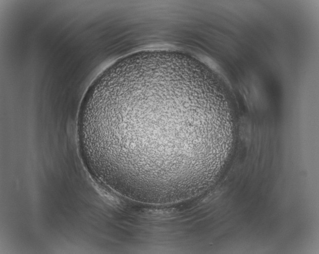 X0000062671229200512281730