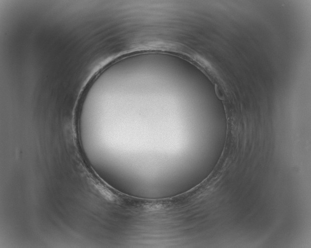 X0000062671230200512281730