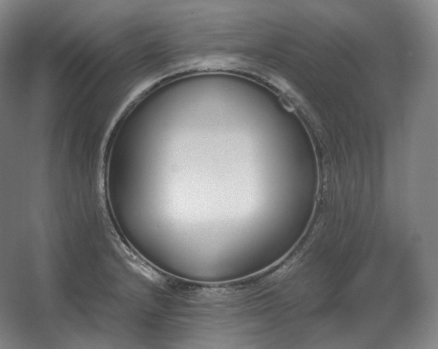 X0000062671232200512281730