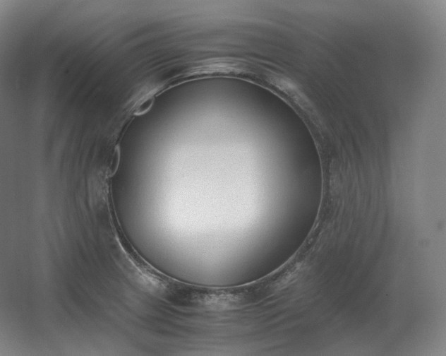 X0000062671233200512281730