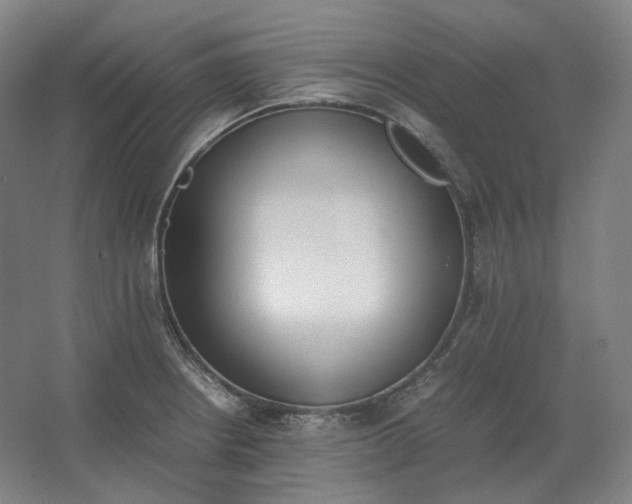 X0000062671234200512281730