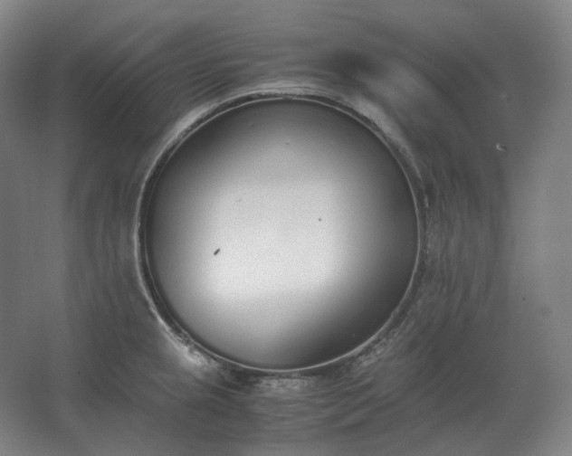 X0000062671237200512281730