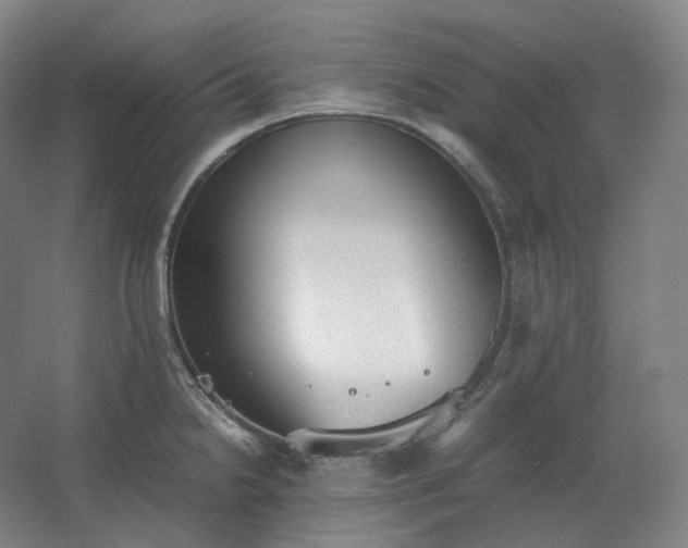 X0000062671238200512281731