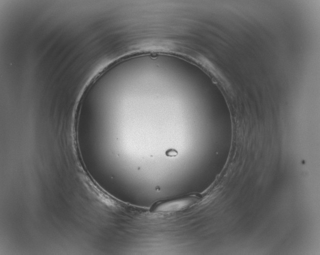 X0000062671240200512281731