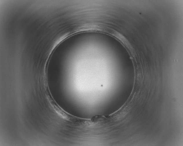 X0000062671242200512281731