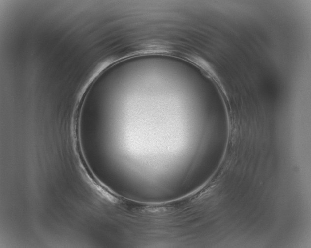 X0000062671243200512281731