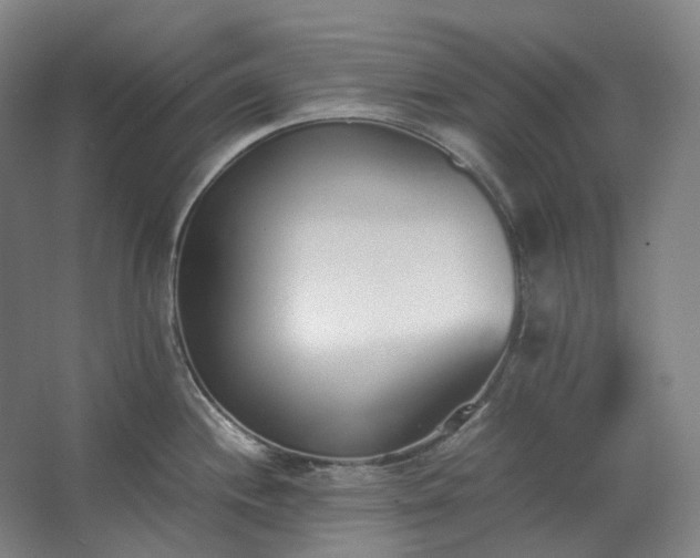 X0000062671244200512281731