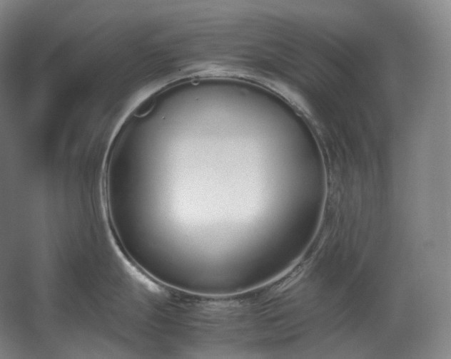 X0000062671247200512281731