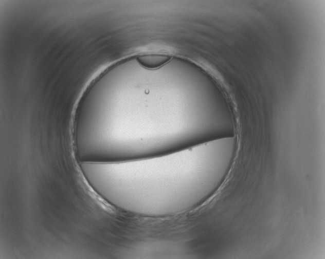 X0000062671248200512281731