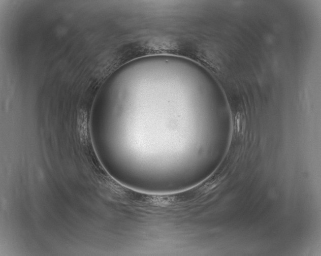 X0000062671251200512281730