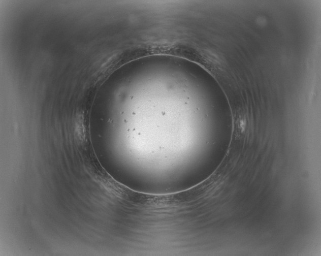 X0000062671252200512281730