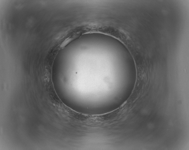 X0000062671253200512281730