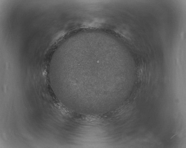 X0000062671254200512281730