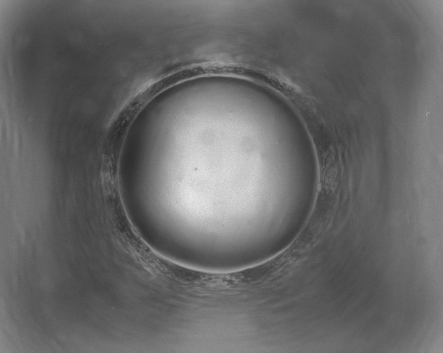 X0000062671255200512281730