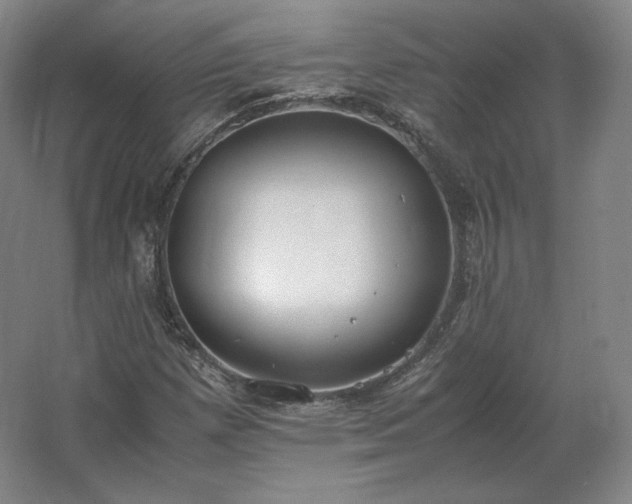 X0000062671257200512281730