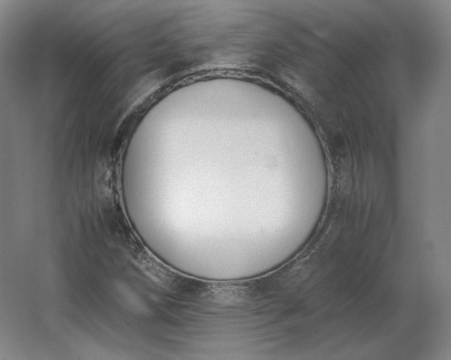 X0000062671258200512281730