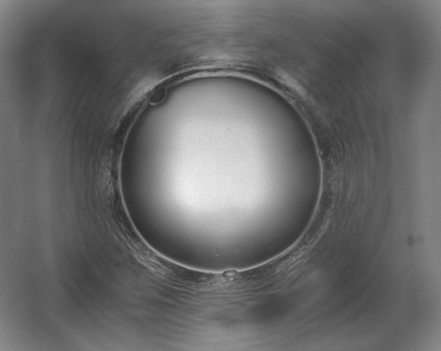 X0000062671259200512281730