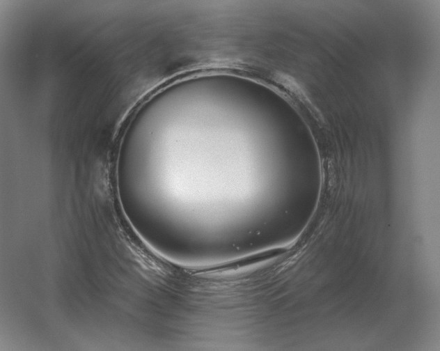 X0000062671260200512281730