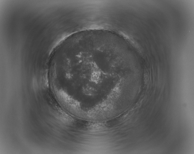 X0000062671262200512281730