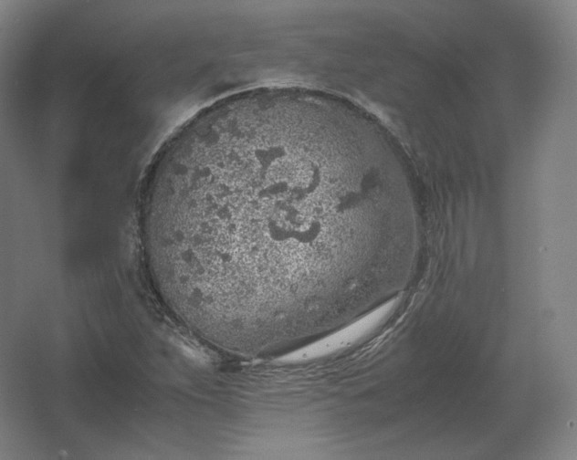 X0000062671263200512281730