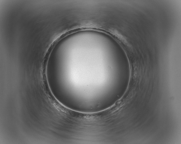 X0000062671264200512281730