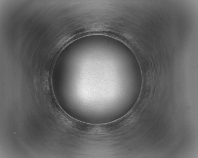 X0000062671265200512281730