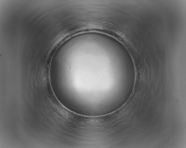 X0000062671266200512281730