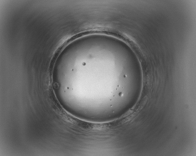 X0000062671267200512281730