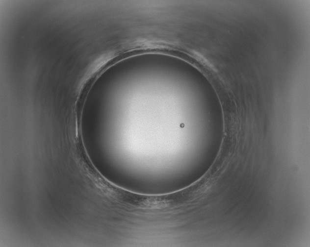 X0000062671269200512281730